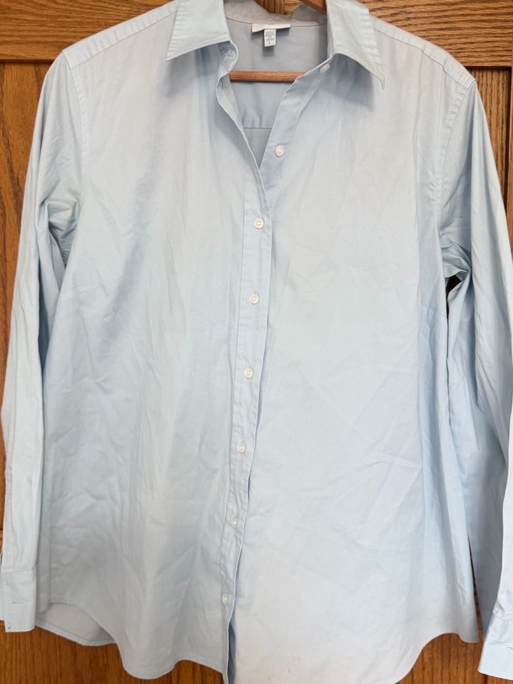 Mimi Maternity Pale Blue Button-Down Maternity Shirt